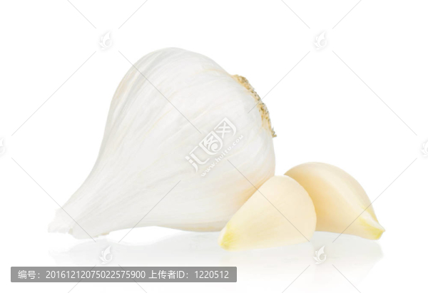 新鮮大蒜