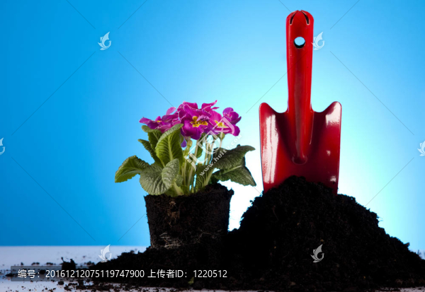 花園的概念