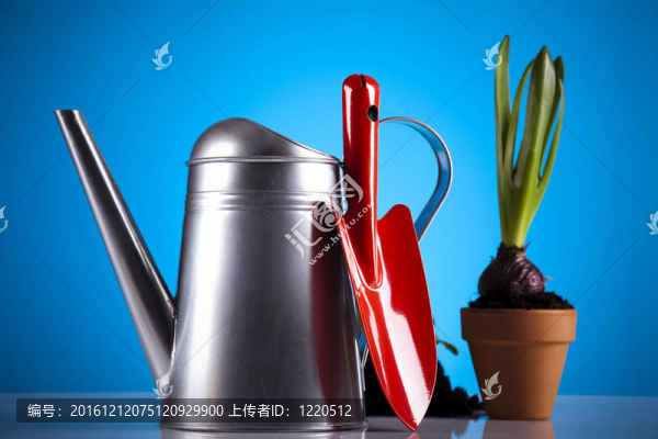 花園的概念
