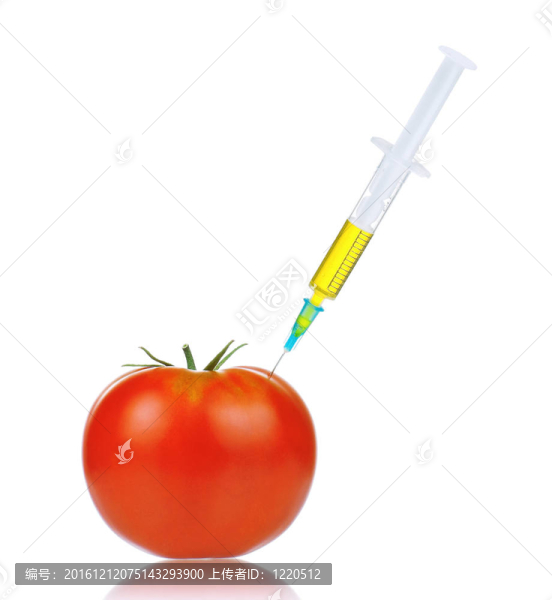 轉(zhuǎn)基因生物