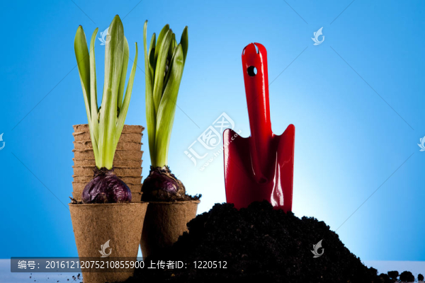 園藝的概念