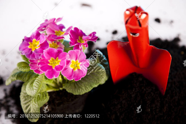 園藝的概念