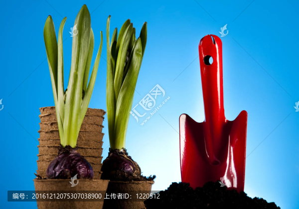 園林主題；園林