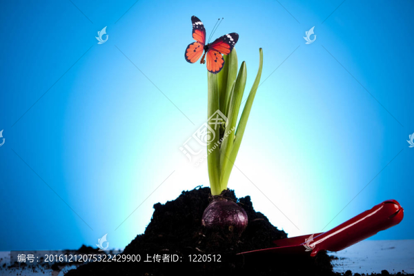 園藝設(shè)備