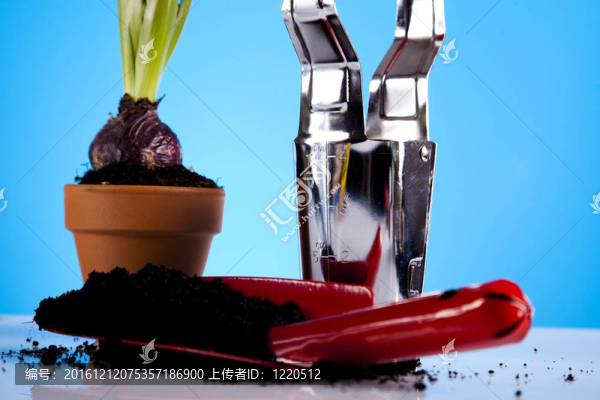 植物和園藝工具