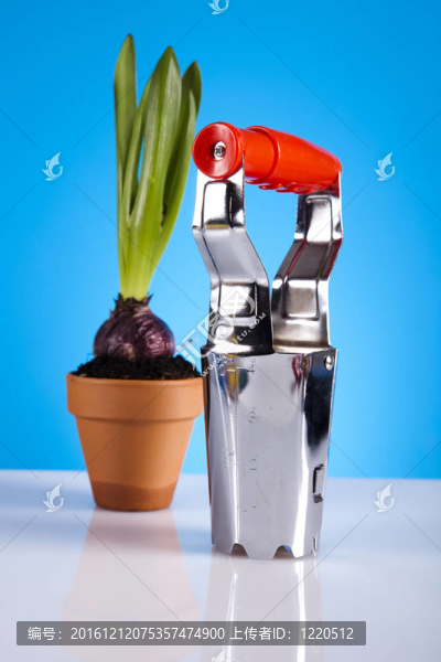 植物和園藝工具