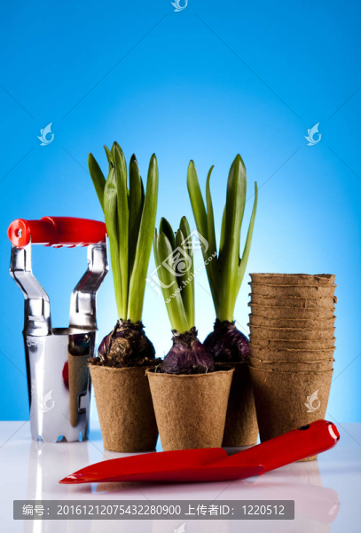 園林工具的概念