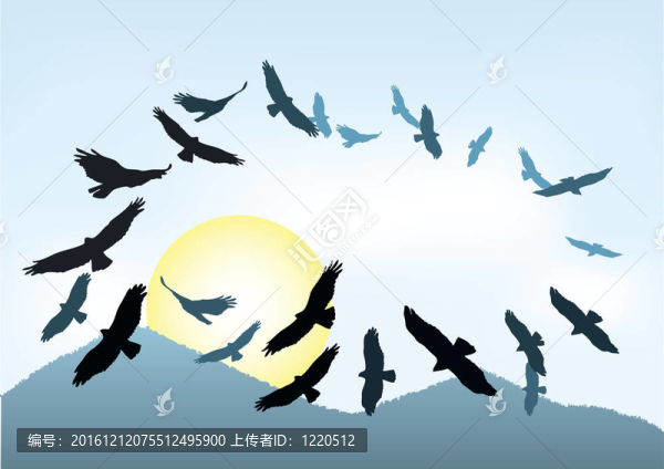 鷹的輪廓