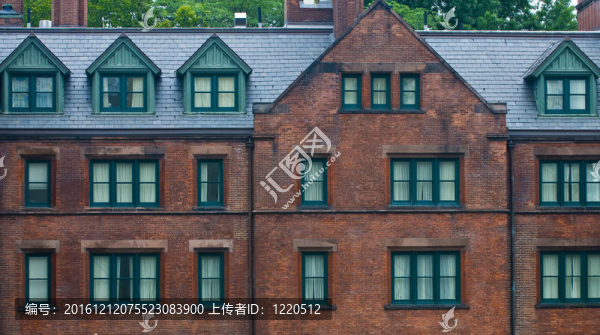 在紐約建設(shè)