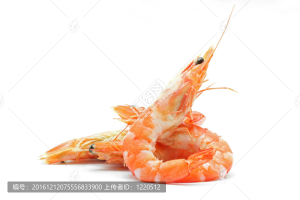 蝦