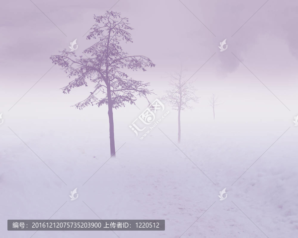 白色的雪樹