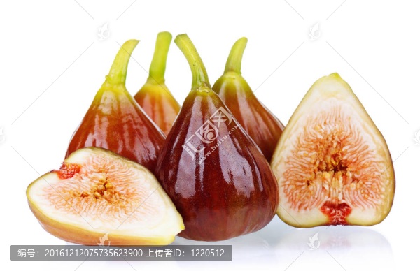 新鮮無花果