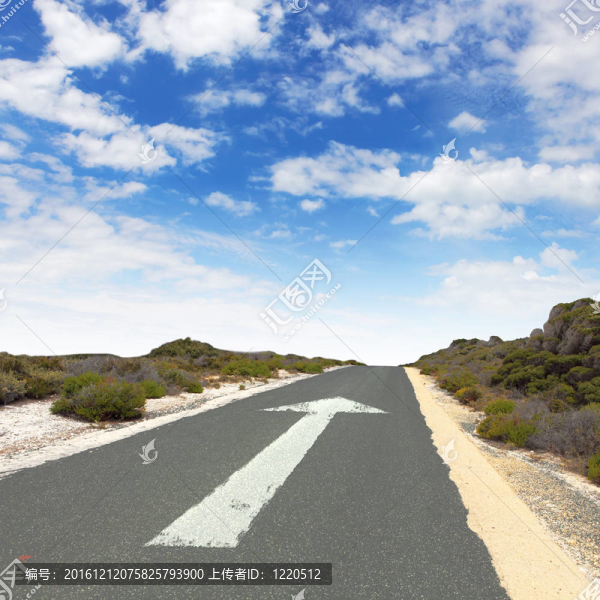 空鄉(xiāng)路白箭