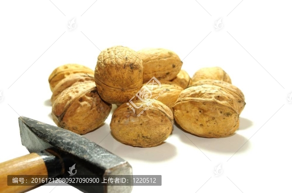 核桃