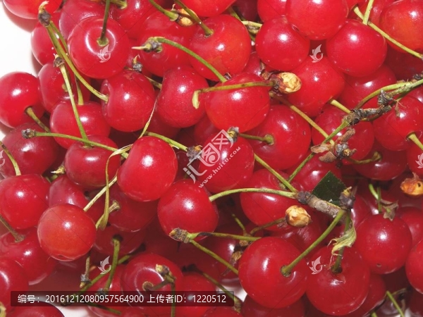 groseilles