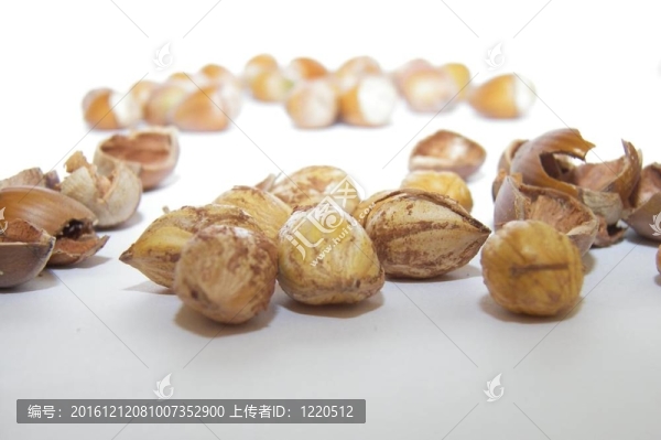 榛子