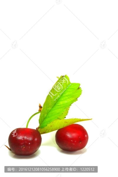 櫻桃