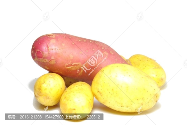土豆