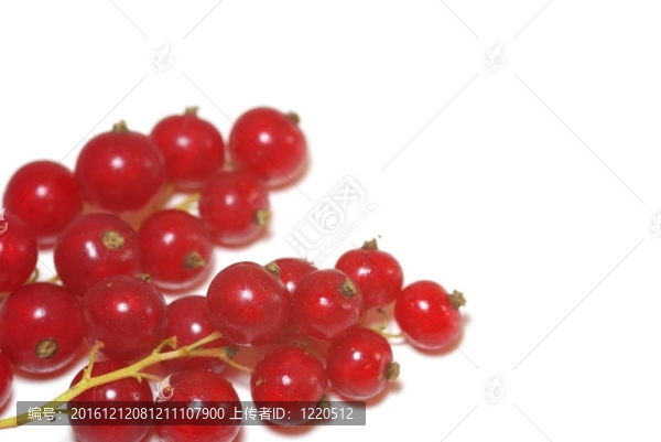 groseilles