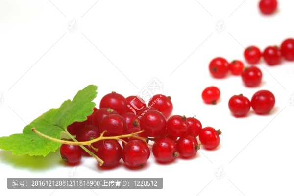 groseilles