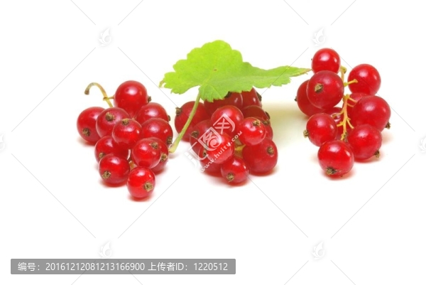 groseilles