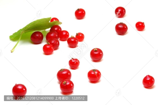 groseilles