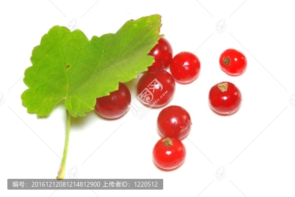 groseilles