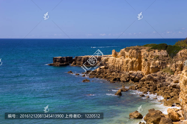 海岸