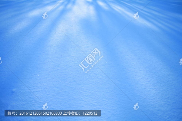雪面