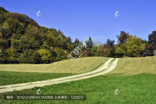 美麗的秋天-匯圖網(wǎng) www.fosd68.com 美麗的秋天