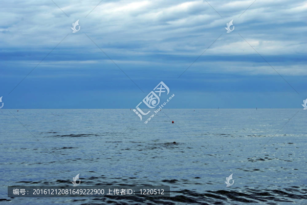 海