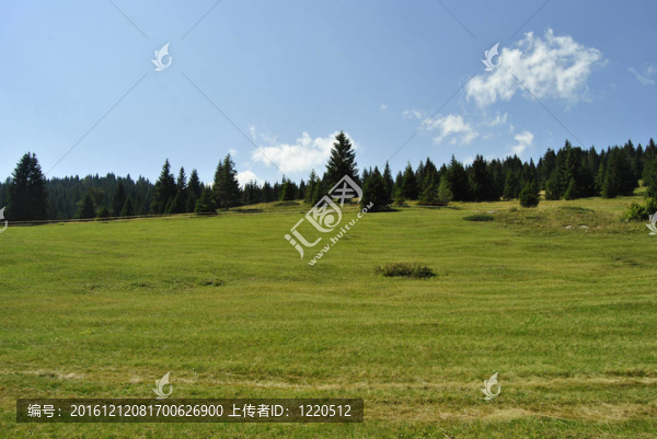 高山高原
