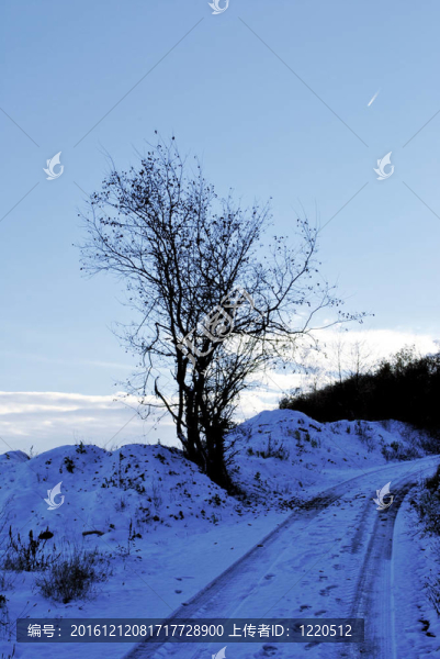 山路