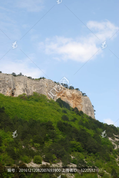 群山和森林