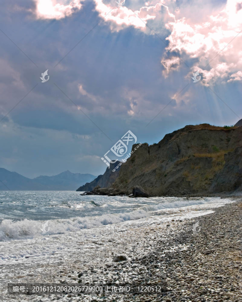海岸