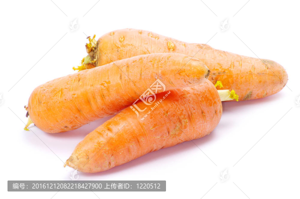 胡蘿卜
