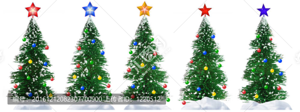 毛皮樹(shù)和星星