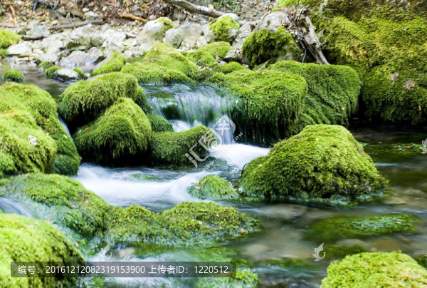 山區(qū)河流