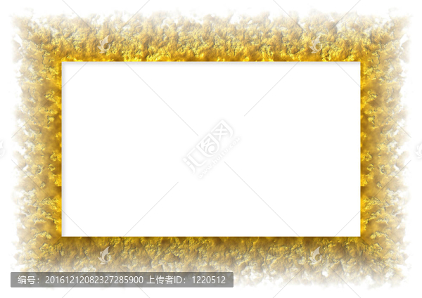 金框