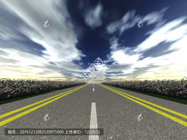 路