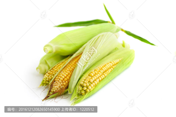 新鮮的玉米