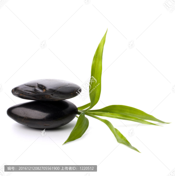 禪意平衡。