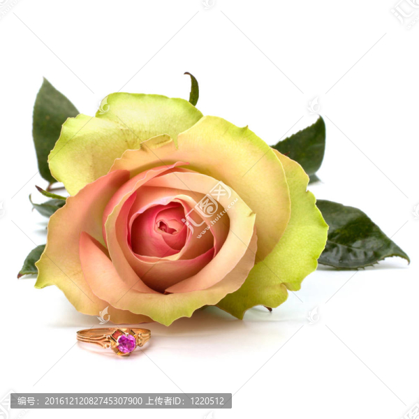 美麗的玫瑰與結(jié)婚戒指