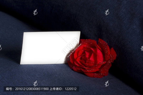 愛