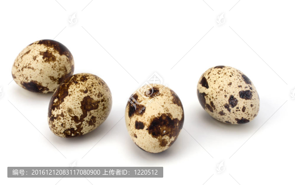 鵪鶉蛋
