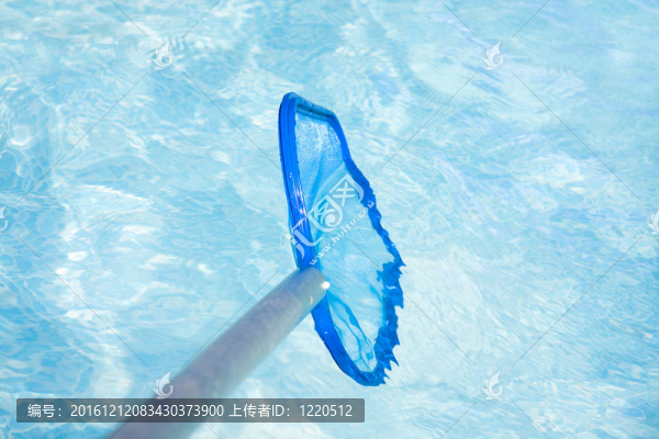 水塘