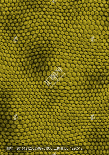 snakes_texture_green