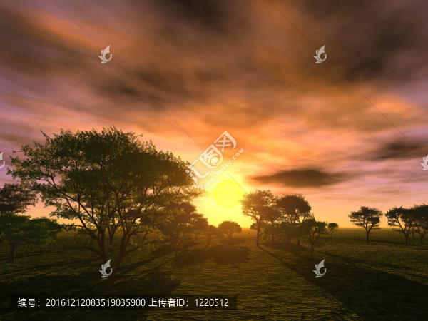 sunset_trees