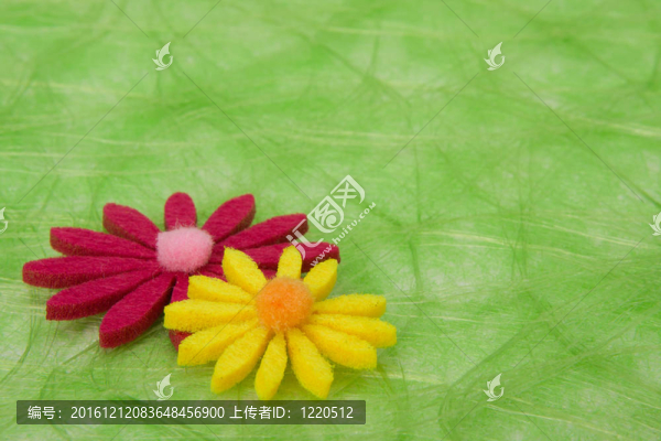 春天的背景。綠色劍麻背景的花。
