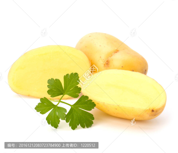新土豆綠歐芹